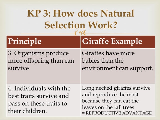 What Is A Group Of Natural Populations That Can Interbreed What Is A Group Of Natural Populations That Can Interbreed