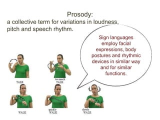 Functional Prosody Natural sign languages revision ppt | PPTX