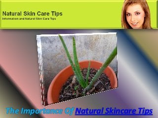 The Importance Of Natural Skincare Tips
 
