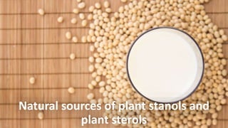 Natural sources of plant stanols and
plant sterols
 