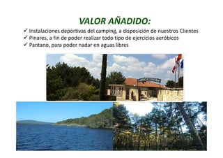 Instalaciones deportivas del camping, a disposición de nuestros Clientes
Pinares, a fin de poder realizar todo tipo de ejercicios aeróbicos
Pantano, para poder nadar en aguas libres
 