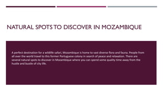 NATURAL SPOTS TO DISCOVER IN MOZAMBIQUE
A perfect destination for a wildlife safari, Mozambique is home to vast diverse flora and fauna. People from
all over the world travel to this former Portuguese colony in search of peace and relaxation. There are
several natural spots to discover in Mozambique where you can spend some quality time away from the
hustle and bustle of city life.
 