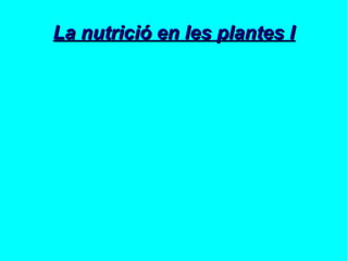 La nutrició en les plantes I

 