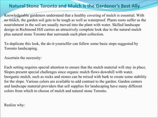 Knowledgeable gardeners understand that a healthy covering of mulch is essential. With
no mulch, the garden soil gets to be tough as well as waterproof. Plants roots suffer as the
nourishment in the soil are usually moved into the plant with water. Skilled landscape
design in Richmond Hill carries an attractively complete look due to the natural mulch
plus natural stone Toronto that surrounds each plant collection.

To duplicate this look, the do-it-yourselfer can follow some basic steps suggested by
Toronto landscaping.

Ascertain the necessity:

Each setting requires special attention to ensure that the mulch material will stay in place.
Slopes present special challenges since organic mulch flows downhill with water.
Inorganic mulch, such as rocks and stones can be mixed with bark to create some stability
for the slope. Various colors are available to add contrast to the garden. Garden centers
and landscape material providers that sell supplies for landscaping have many different
colors from which to choose of mulch and natural stone Toronto.


Realize why:
 