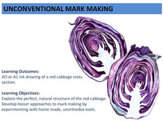 Learning Outcomes:
AO or A1 ink drawing of a red cabbage cross
section.
Learning Objectives:
Explore the perfect, natural structure of the red cabbage.
Develop looser approaches to mark making by
experimenting with home made, unorthodox tools.
UNCONVENTIONAL MARK MAKING
 