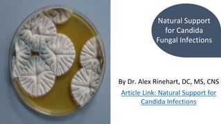 Natural Support
for Candida
Fungal Infections
By Dr. Alex Rinehart, DC, MS, CNS
Article Link: Natural Support for
Candida Infections
 