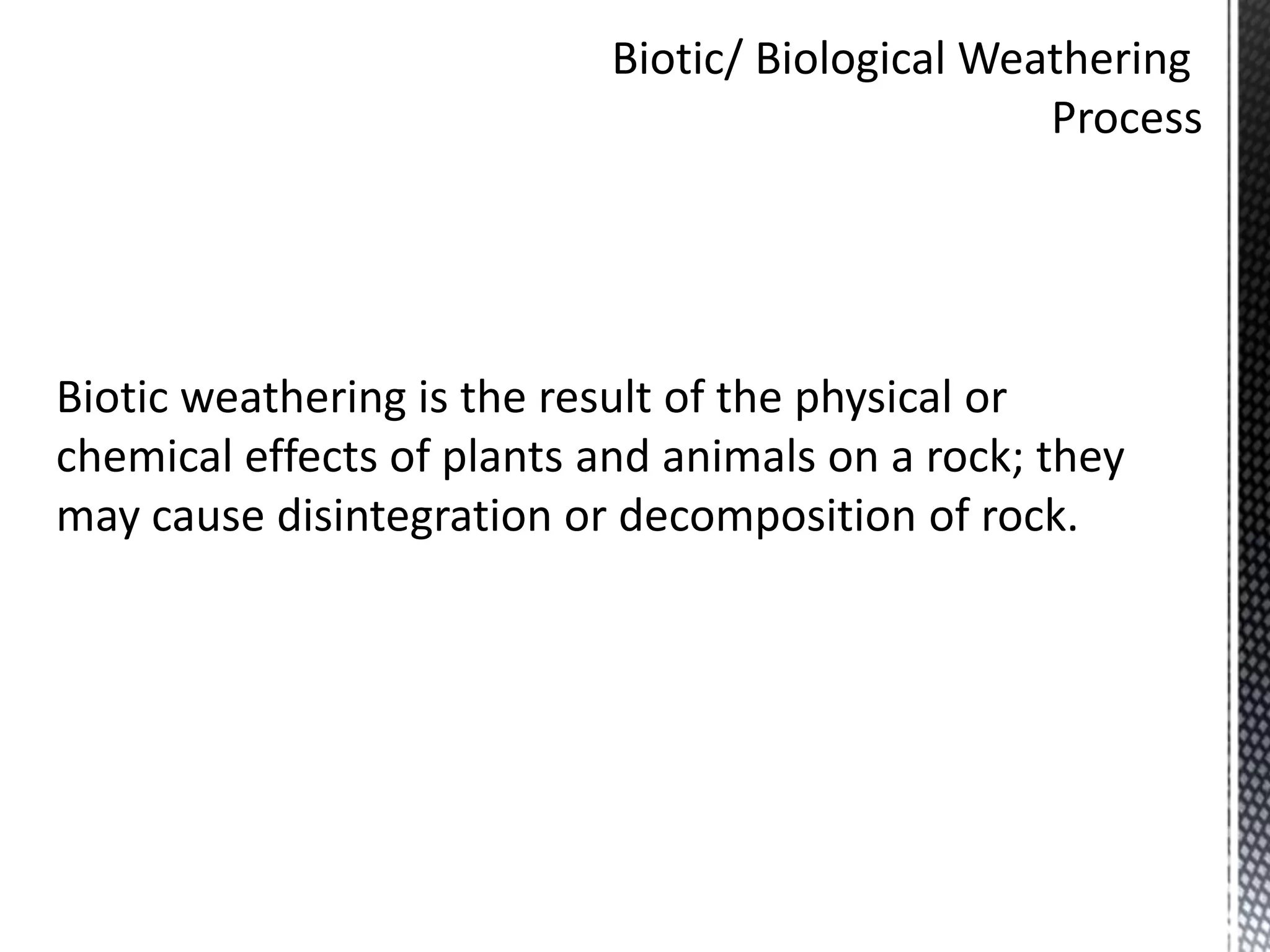 Biotic/ Biological Weathering
Process
Biotic weathering is the result of the physical or
chemical effects of plants and animals on a rock; they
may cause disintegration or decomposition of rock.
 
