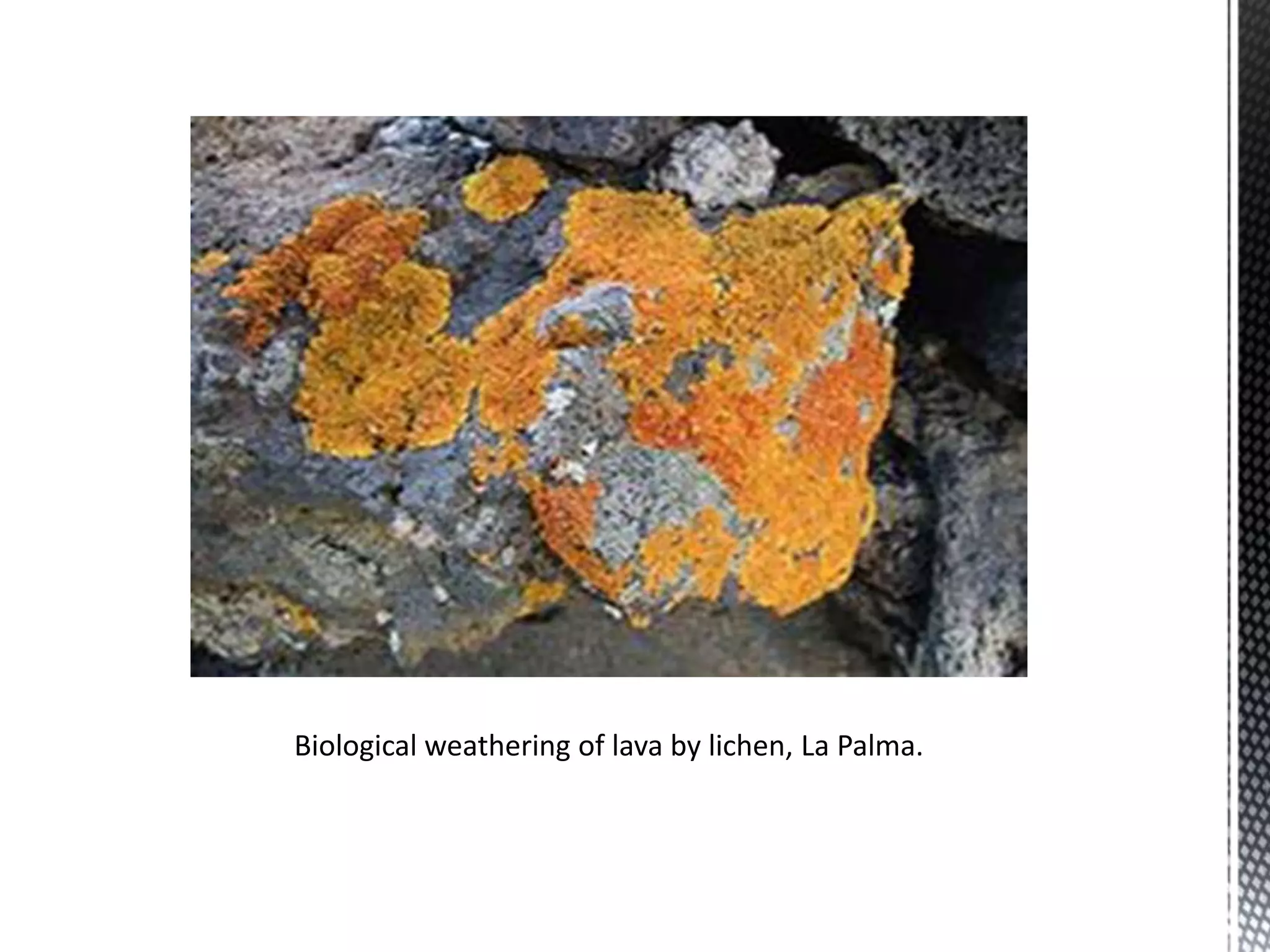 Biological weathering of lava by lichen, La Palma.
 