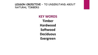 KEY WORDS
Timber
Hardwood
Softwood
Deciduous
Evergreen
LESSON OBJECTIVE – TO UNDERSTAND ABOUT
NATURAL TIMBERS
 