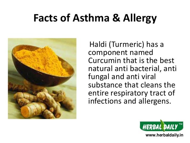 How To Treat Cat Asthma Naturally How To Treat Cat Asthma Naturally