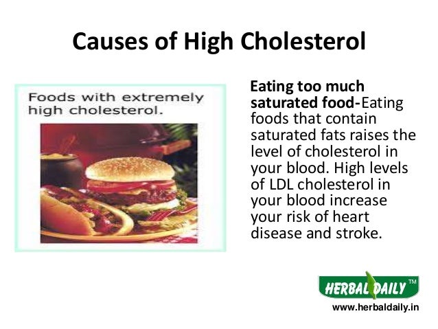 What foods cause high cholesterol?