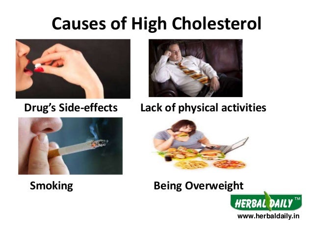 hindi stamina increase how to Treatment Cholesterol Ià¤à¥à¤²à¥à¤¸à¥à¤à¥à¤°à¥à¤² for à¤à¥ Hindi Natural in