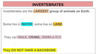 INVERTEBRATES
Invertebrates are the LARGEST group of animals on Earth.
Some live in WATER, some live on LAND.
They can WALK, CRAWL, SWIM or FLY.
.
They DO NOT HAVE A BACKBONE.
 