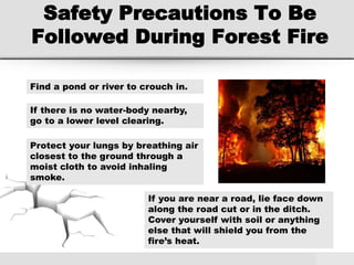 Safety Precautions To Be
Followed During Forest Fire
Find a pond or river to crouch in.
If there is no water-body nearby,
go to a lower level clearing.
Protect your lungs by breathing air
closest to the ground through a
moist cloth to avoid inhaling
smoke.
If you are near a road, lie face down
along the road cut or in the ditch.
Cover yourself with soil or anything
else that will shield you from the
fire’s heat.
 