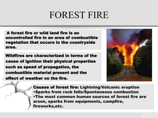 FOREST FIRE
Wildfires are characterized in terms of the
cause of ignition their physical properties
such as speed of propagation, the
combustible material present and the
effect of weather on the fire.
A forest fire or wild land fire is an
uncontrolled fire in an area of combustible
vegetation that occurs in the countryside
area.
Causes of forest fire: Lightning/Volcanic eruption
•Sparks from rock falls/Spontaneous combustion
•The most common human sources of forest fire are
arson, sparks from equipments, campfire,
fireworks,etc.
 
