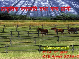 izkd`frd ouLifr rFkk oU; izk.kh
Chinmoy Maji
M.Ed. 1st year
R.I.E Ajmer 2016-1
 