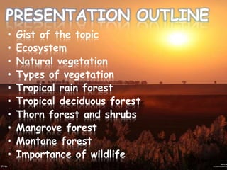 PRESENTATION OUTLINE
•
•
•
•
•
•
•
•
•
•

Gist of the topic
Ecosystem
Natural vegetation
Types of vegetation
Tropical rain forest
Tropical deciduous forest
Thorn forest and shrubs
Mangrove forest
Montane forest
Importance of wildlife

 