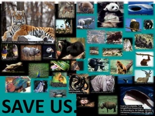 SAVE US….

 