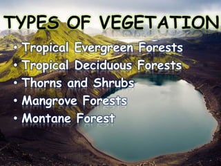 •
•
•
•
•

Tropical Evergreen Forests
Tropical Deciduous Forests
Thorns and Shrubs
Mangrove Forests
Montane Forest

 