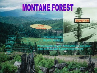 SILVER FIR
ALPINE
VEGETATION

4000
3000
2000
1500
1000

Temperate forests containing coniferous trees
like pine deodar etc found(15oo to 3000 m)
Wet temperate forests (1000to2000 m) ever green
trees such as oaks & chestnuts prominent

 