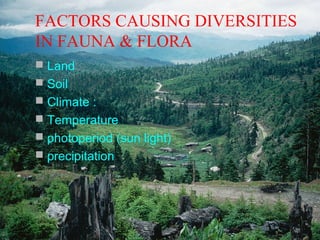 FACTORS CAUSING DIVERSITIES
IN FAUNA & FLORA
 Land
 Soil
 Climate :
 Temperature
 photoperiod (sun light)
 precipitation

 
