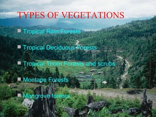 TYPES OF VEGETATIONS
 Tropical Rain Forests
 Tropical Deciduous Forests
 Tropical Thorn Forests and scrubs
 Montane Forests
 Mangrove forests

 