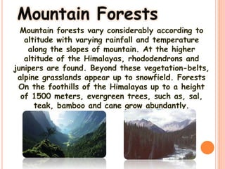 Mountain Forests
Mountain forests vary considerably according to
altitude with varying rainfall and temperature
along the slopes of mountain. At the higher
altitude of the Himalayas, rhododendrons and
junipers are found. Beyond these vegetation-belts,
alpine grasslands appear up to snowfield. Forests
On the foothills of the Himalayas up to a height
of 1500 meters, evergreen trees, such as, sal,
teak, bamboo and cane grow abundantly.
 