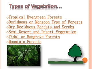 oTropical Evergreen Forests
oDeciduous or Monsoon Type of Forests
oDry Deciduous Forests and Scrubs
oSemi Desert and Desert Vegetation
oTidal or Mangrove Forests
oMountain Forests
 