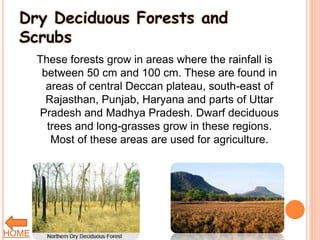 Dry Deciduous Forests and
Scrubs
These forests grow in areas where the rainfall is
between 50 cm and 100 cm. These are found in
areas of central Deccan plateau, south-east of
Rajasthan, Punjab, Haryana and parts of Uttar
Pradesh and Madhya Pradesh. Dwarf deciduous
trees and long-grasses grow in these regions.
Most of these areas are used for agriculture.
HOME
 