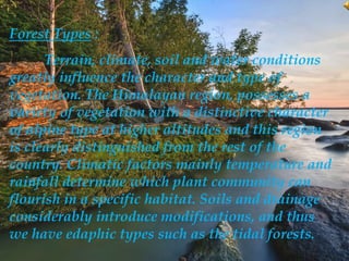 Forest Types :
Terrain, climate, soil and water conditions
greatly influence the character and type of
vegetation. The Himalayan region, possesses a
variety of vegetation with a distinctive character
of alpine type at higher altitudes and this region
is clearly distinguished from the rest of the
country. Climatic factors mainly temperature and
rainfall determine which plant community can
flourish in a specific habitat. Soils and drainage
considerably introduce modifications, and thus
we have edaphic types such as the tidal forests.
 
