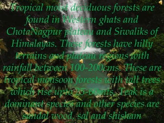 Tropical moist deciduous forests are
found in Western ghats and
ChotaNagpur plateau and Siwaliks of
Himalayas. These forests have hilly
terrains and plateau regions with
rainfall between 100-200cms. These are
tropical monsoon forests with tall trees
which rise upto 25-60mts. Teak is a
dominant species and other species are
sandal wood, sal and shisham
 
