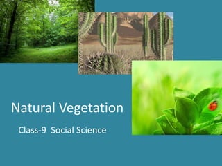 Natural Vegetation
Class-9 Social Science
 