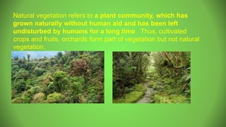 Natural vegetation refers to a plant community, which has
grown naturally without human aid and has been left
undisturbed by humans for a long time . Thus, cultivated
crops and fruits, orchards form part of vegetation but not natural
vegetation.
 