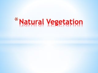 *Natural Vegetation
 