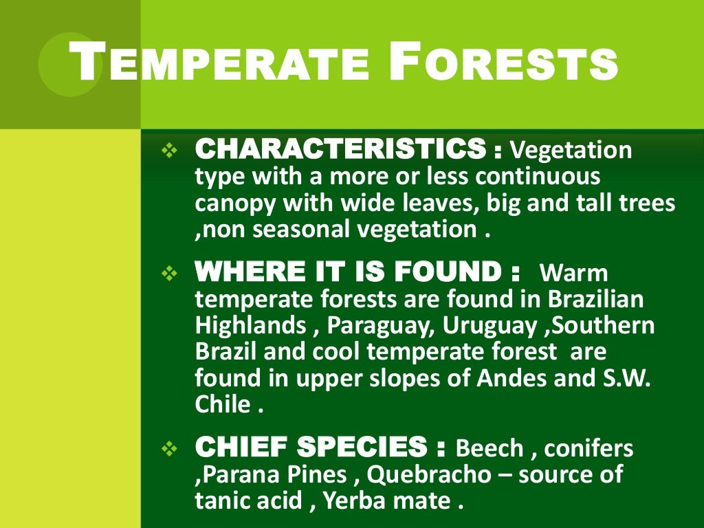 Natural vegetation of Latin America
