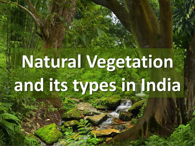 Types of Natural vegetation in India | PPT
