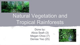 Natural Vegetation and
Tropical Rainforests
Done by:
Alicia Seah (3)
Megan Choo (7)
Denise Yeo (25)
 