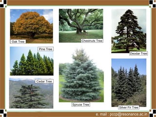 Natural vegetation and wildlife | PPSX