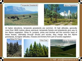 Natural vegetation and wildlife | PPSX