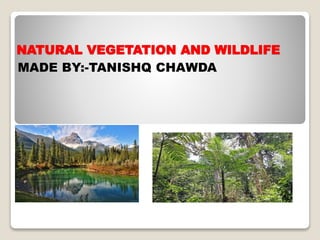 NATURAL VEGETATION AND WILDLIFE
MADE BY:-TANISHQ CHAWDA
 