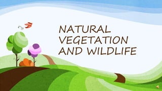 NATURAL
VEGETATION
AND WILDLIFE
 
