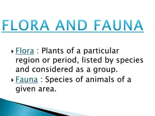 Natural vegetation and wildlife | PPTX