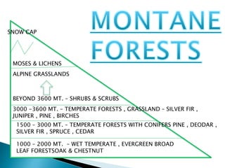 Natural vegetation and wildlife | PPTX