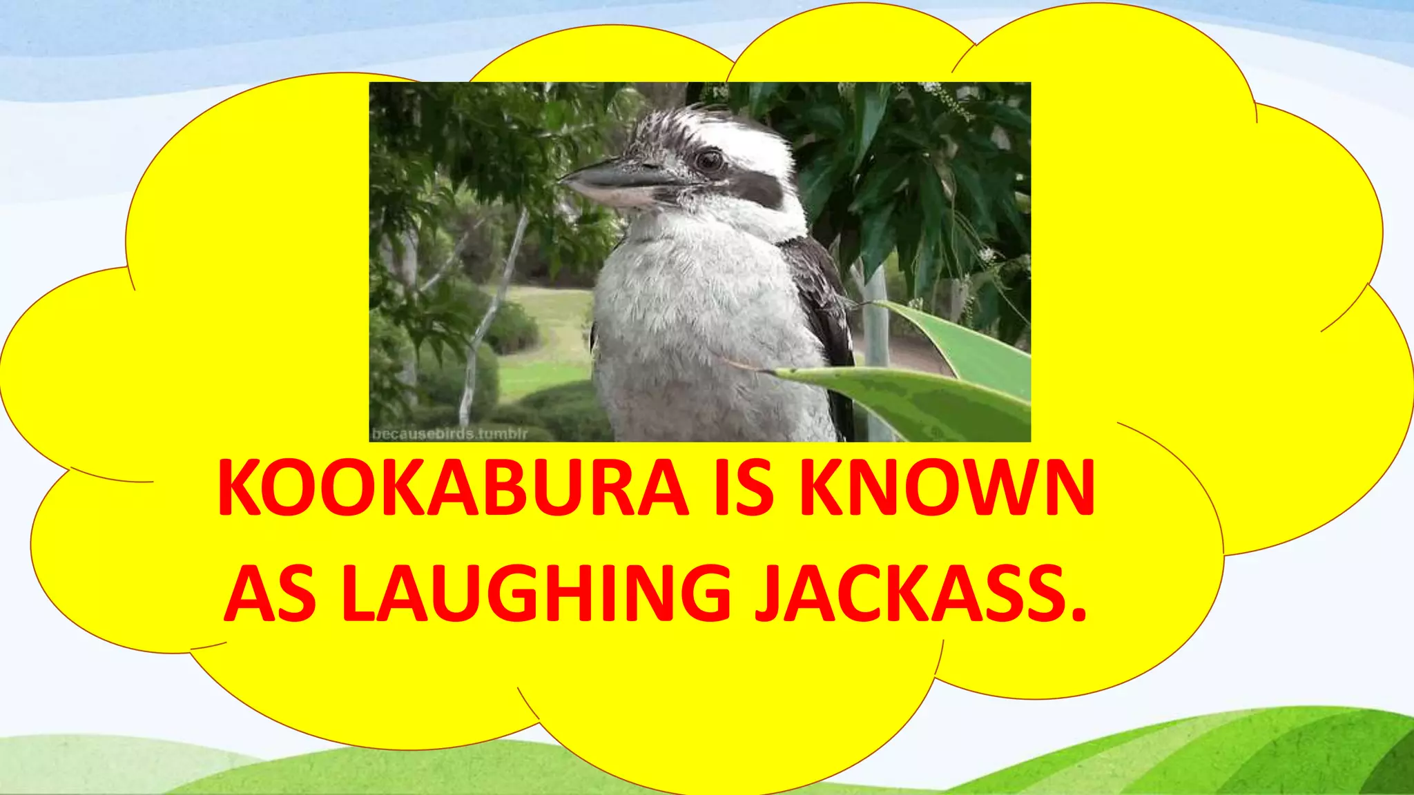 「write」に関連した英語例文の一覧と使い方 - Weblio英語例文検索 visual data 7