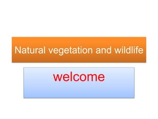 Natural vegetation and wildlife
welcome
 