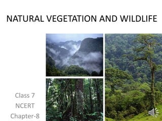 NATURAL VEGETATION AND WILDLIFE
Class 7
NCERT
Chapter-8
 