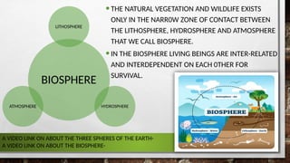 NATURAL VEGETATION AND WILDLIFELKHBLFGKGKM | PPTX