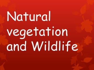 Natural
vegetation
and Wildlife
 