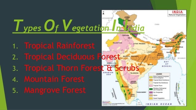 Natural vegetation and wildlife ppt