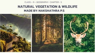 Natural Vegetation And Wild Life ppt.pdf